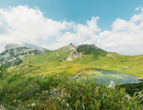 La Evolución del Estándar Net Zero: Claves de la versión 2.0 y el futuro de la descarbonización corporativa